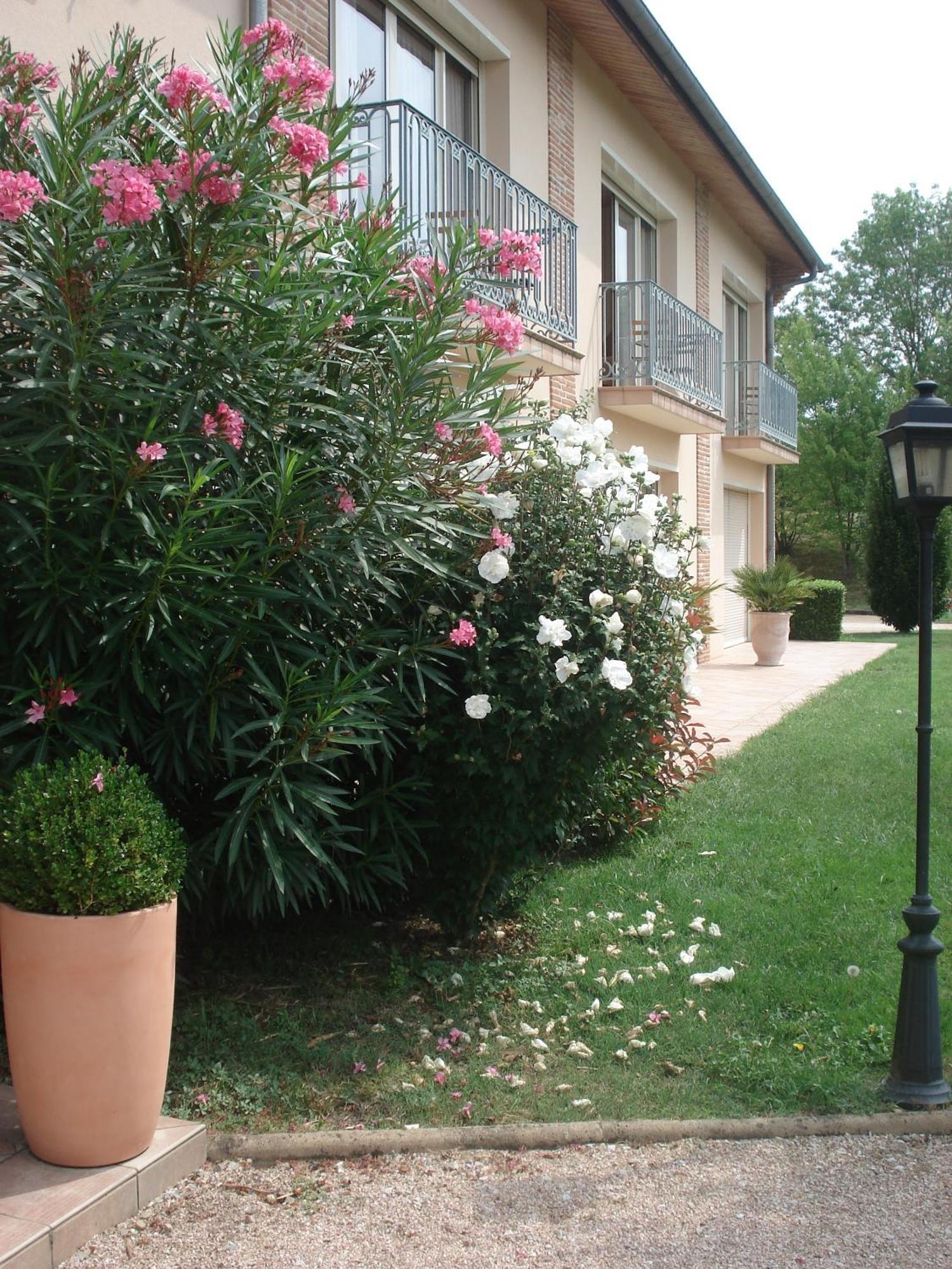 L'Oustal Du Lauragais Hotel Labastide-Beauvoir ภายนอก รูปภาพ